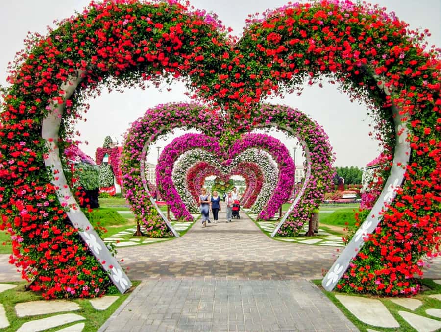 Miracle Flora & Fauna Marvels at Miracle Garden - The Best Parts People Usually Care About, and Why They Work