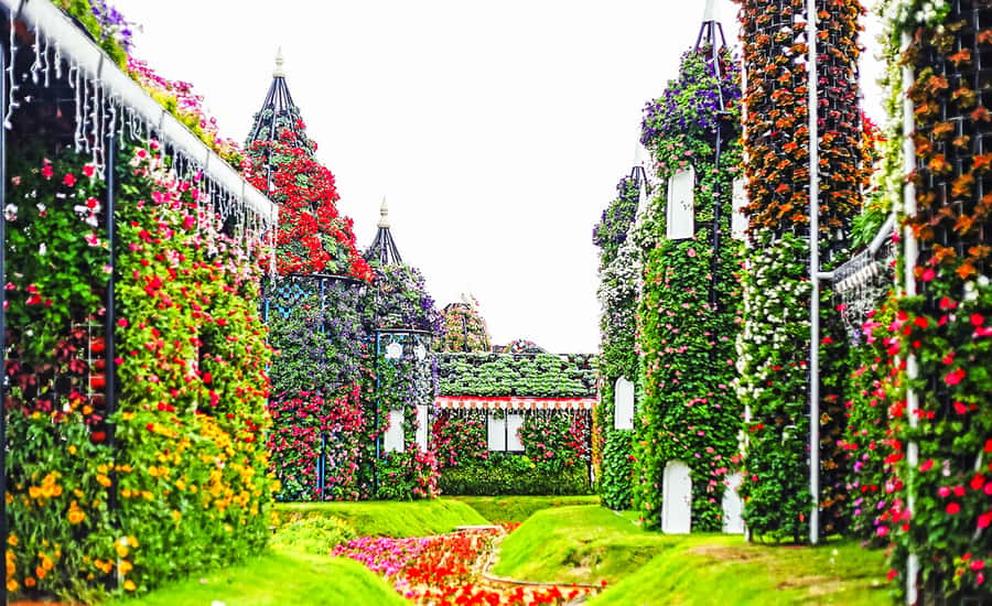 Miracle Flora & Fauna Marvels at Miracle Garden - Who This Tour Fits Best (and Who Might Want a Different Plan)
