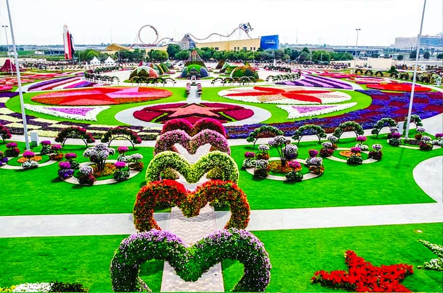 Miracle Flora & Fauna Marvels at Miracle Garden - Butterfly Garden Al Barsha: 9 Domes, 3D Round Design, and a Butterfly Museum Pause