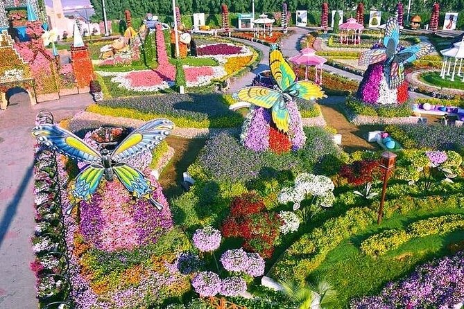 Miracle Garden And Global Village With Optional Transport - What to expect at Miracle Garden, step by step