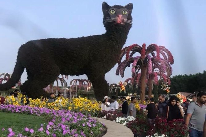 Miracle Garden & Butterfly Garden with Ticket & Private Transfers - Who should book this Dubai flower and butterfly outing