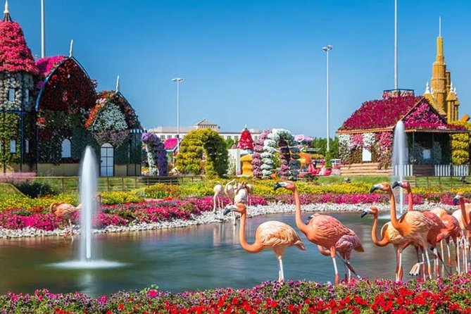 Miracle Garden Dubai Including Pickup & Drop Off - What You Can Actually Do Once You’re There