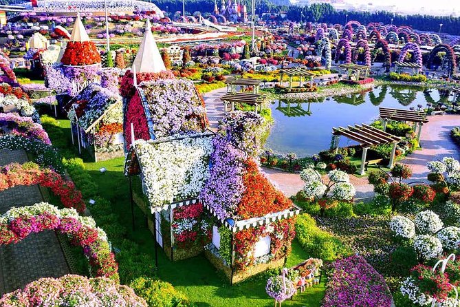 Miracle Garden Dubai Including Pickup & Drop Off - Transport Comfort: Less Fuss, More Florence-Like Wandering