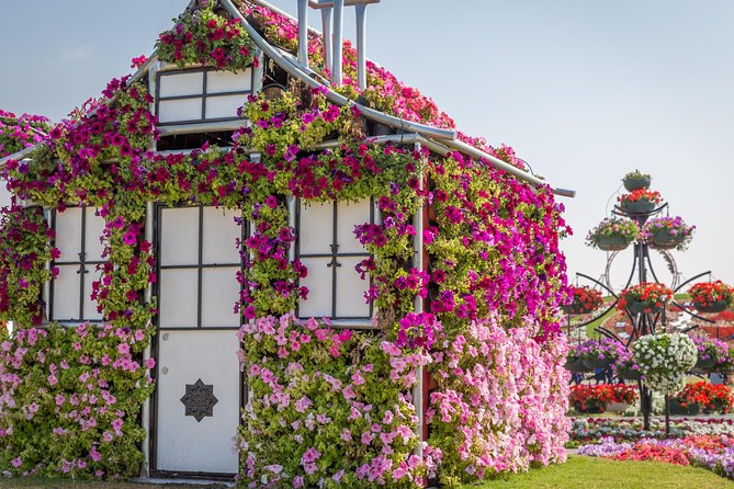 Miracle Garden In Dubai tickets with pickup drop option - Miracle Garden in Dubai: the big reason this works