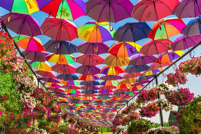 Miracle Garden In Dubai tickets with pickup drop option - Who this private Miracle Garden pickup fits best