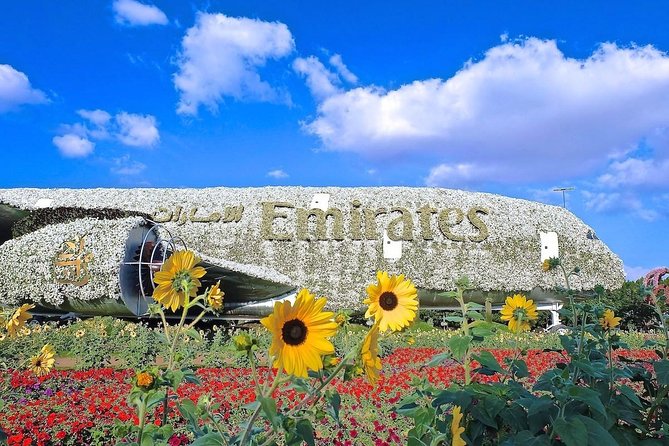 Miracle Garden Ticket Dubai with Shared Transfers - Morning vs Afternoon: Choosing the Better Window for Your Trip