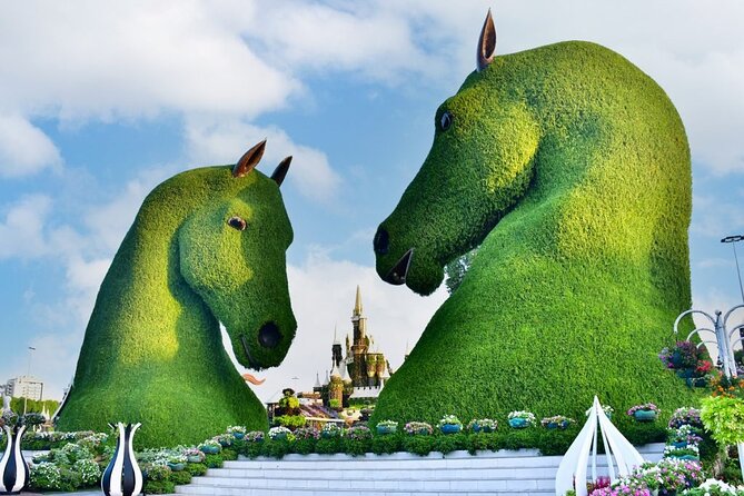 Miracle Garden Ticket Dubai with Shared Transfers - What to Expect Inside: Cafés, Shops, and Practical Comfort