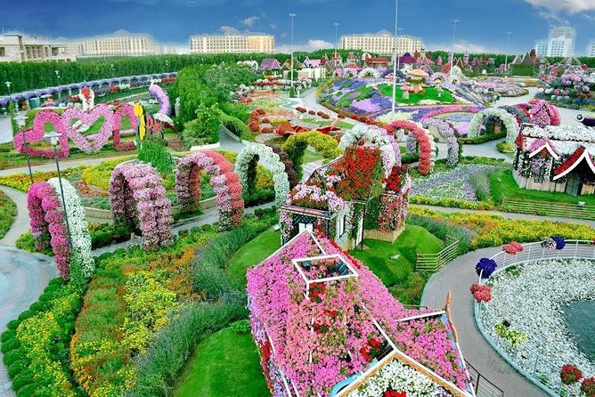Miracle Garden Ticket Dubai with Shared Transfers - How the Shared Transfers Work (And Why Timing Matters)