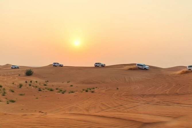 Morning Desert Safari Dubai Private Tour - Water and Soft Drinks: Small Comforts During an Early Start