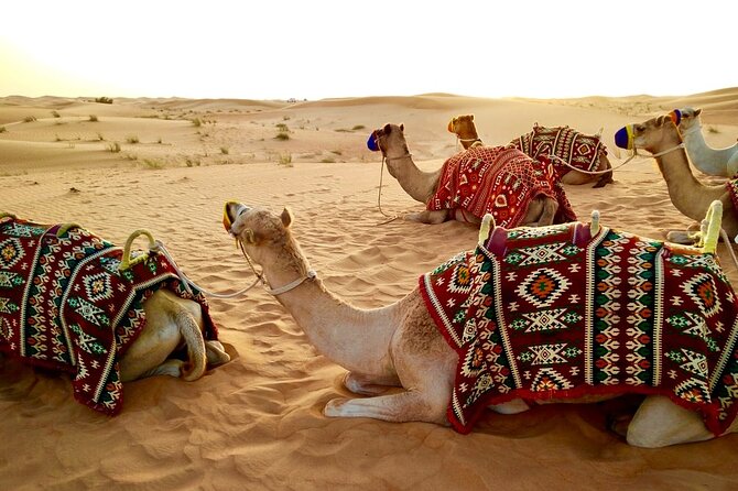 Morning Desert Safari Dubai Private Tour - Price and Value: What $99 Includes, and What to Watch For