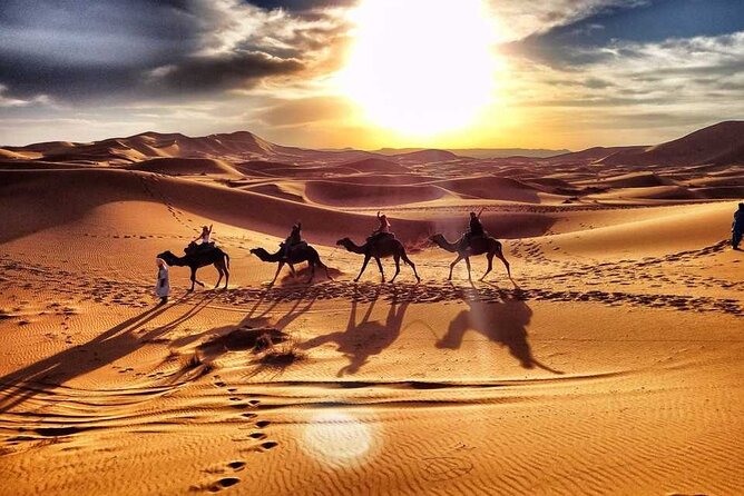 Morning Desert Safari Dubai with Dune Bashing and Sand Boarding - A 8:30am Desert Safari That Fits Real Touring Schedules