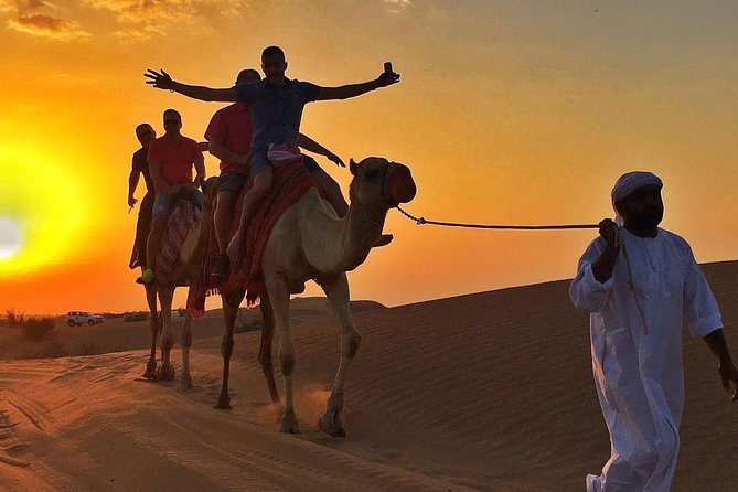 Morning Desert Safari:Dune Bashing Experience with Camel Ride - Key things to know before you go