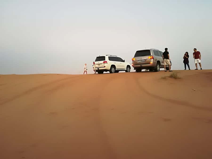 Morning Desert Safari in Ras Al Khaimah - The 45-minute 4WD dune bash: what it is like in real life