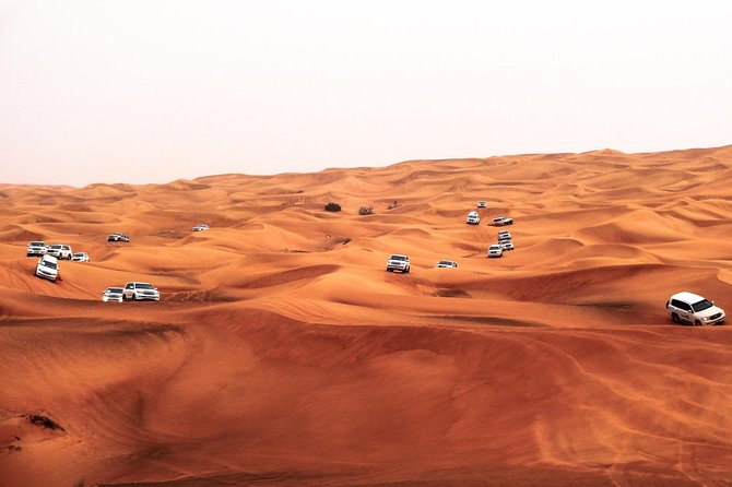Morning Desert Safari With 20-Minutes Camel Ride - Dawn viewing, sunrise light, and what you should look for