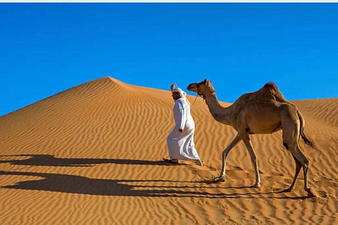 Morning Desert Safari with Camel Ride and Quad Bike - Comfort details that matter: water, soft drinks, and air-conditioned travel