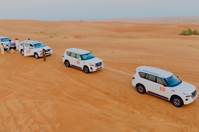 Morning Desert Safari with Dune Bashing & Camel Ride - Camel Ride in the Morning Light: A Calmer Side of the Desert