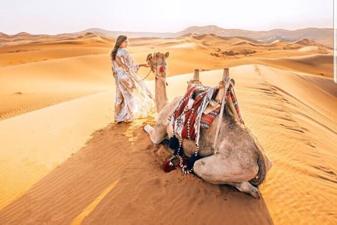 Morning Desert Safari With Quad Biking and Sandboarding - Why Morning Desert Safari in Dubai Works So Well