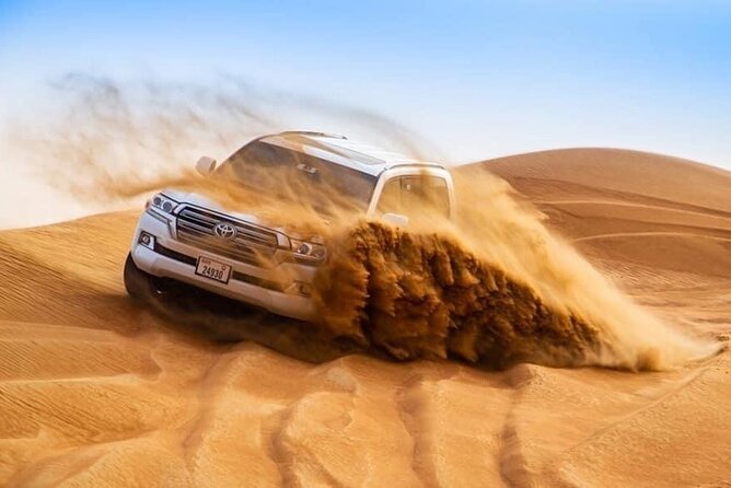 Morning Desert Safari with Sandboarding & Camel Ride on Red Dunes - Falcon photos and picture points, how to handle the camera stops