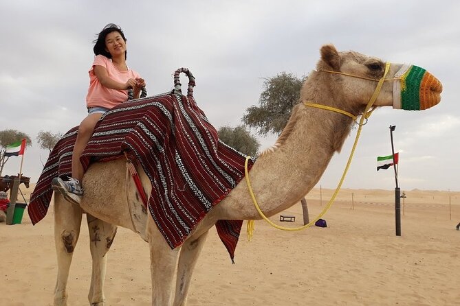 Morning Dubai desert safari - camel rides, quad bikes, dune buggies,dune bashing - Morning Desert Safari in Dubai: The Simple Reason It Works