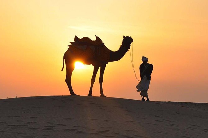Morning Dune Bashing, Including Camel Riding and Sand Boarding from Dubai - Key points I’d write on a sticky note