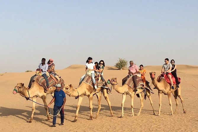 Morning Dune Bashing, Including Camel Riding and Sand Boarding from Dubai - Camel Riding or Sand Boarding: Pick Your Pace