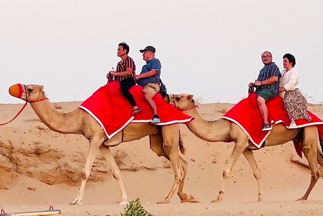 Morning/Evening 4x4 Desert Safari, CamelRide & Sandboarding - Comfort, Safety, and Practical Tips for a Smooth Desert Day