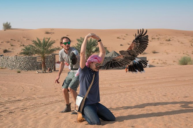 Morning Falconry & Nature Desert Safari with Transfers from Dubai - Who This Safari Is Best For, and Who Should Rethink It