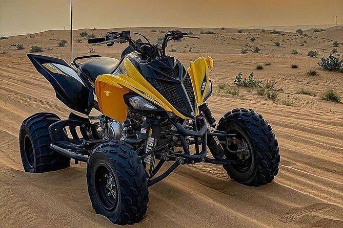 Morning Quad Biking & Red Sand Desert Safari , Camel Ride, Sand Boarding - Tips to get the most out of the quad, sandboarding, and photos