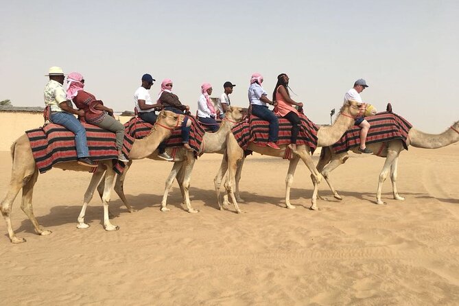 Morning Red Dunes with Camel Ride, Sandboarding and Refreshments - Sandboarding: fun, short learning curve, and how to set yourself up