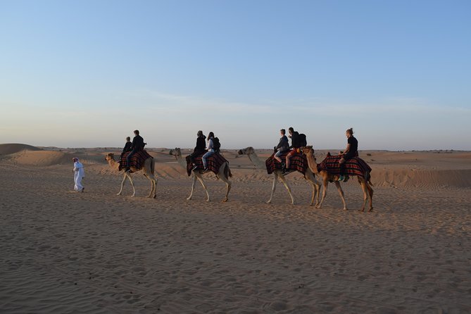 Morning Safari by 4x4 from Dubai with Sand Boarding - Camel Ride and Photo Stops: Turning the Adrenaline Down, Not Off