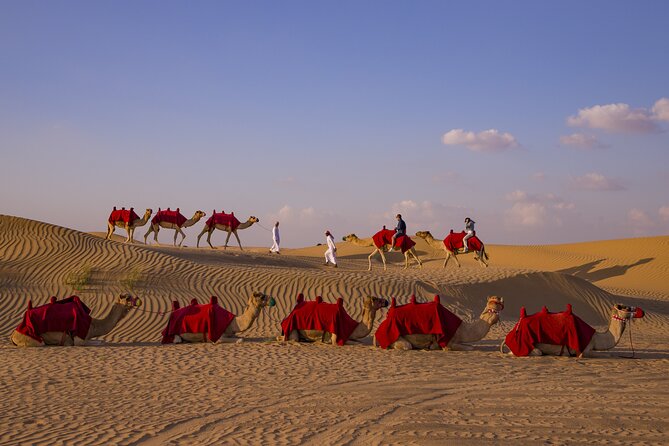 Overnight Camel Caravan with BBQ Dinner and Arabic Breakfast - Getting From Dubai and Sharjah Into the Desert (Without the Hassle)