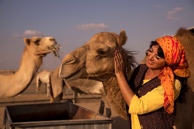 Overnight Camel Caravan with BBQ Dinner and Arabic Breakfast - Optional Extras: Dunes Bashing and Sandboarding