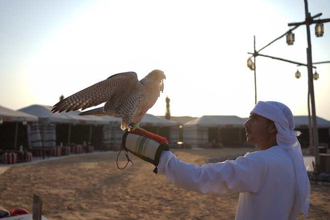 Overnight Desert Experience with safari and BBQ Dinner - Al Aweer Bedouin-style camp: henna, shisha, falcon photos, and Tanoura