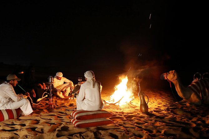 Overnight Desert Experience with safari and BBQ Dinner - Price and value: what $165 buys you beyond the thrills