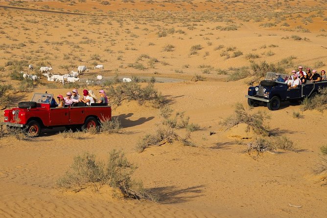 Overnight Safari and Sunrise Hot-Air Balloon Ride - Back to Dubai: Breakfast, Then the City Again