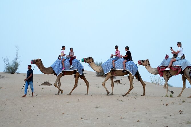 Premium Deluxe Dubai Safari with Camel Ride, Sandboard & BBQ - Camel ride and sandboarding at the camp