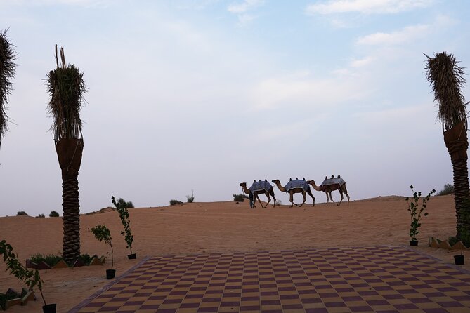 Premium Deluxe Dubai Safari with Camel Ride, Sandboard & BBQ - BBQ dinner, dates, and drink choices that matter