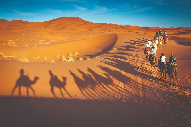 Premium Desert Safari with BBQ Dinner - Dubai - Dubai pickup to Lahbab dunes: Land Cruiser comfort matters