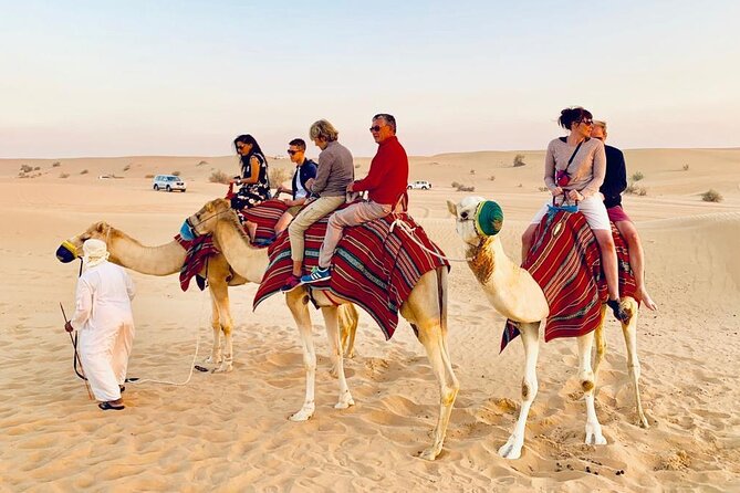 Premium Desert safari With Dune buggy camel ride BBQ dinner - The Edge of Desert Stop: Sandboarding and Photo Time