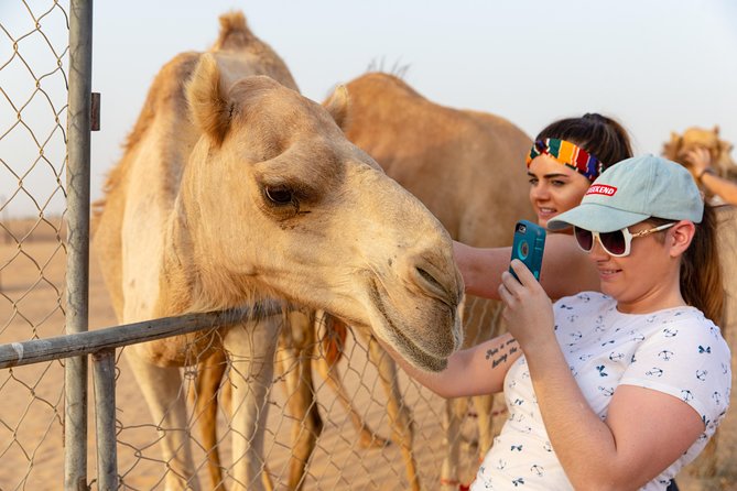 Premium Dubai Desert Safari with BBQ Dinner in the Red Dunes - Shifting from action to photos to souvenirs, without feeling pressured