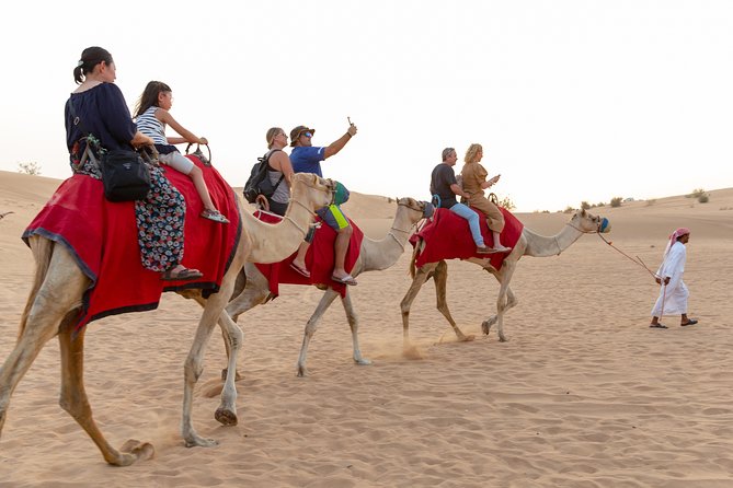 Premium Dubai Desert Safari with BBQ Dinner in the Red Dunes - Price and value: why $49 can work, and when it might not