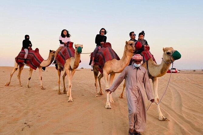 Premium Dubai Red Dunes with quadbike, camel ride and VIP Dinner - VIP BBQ dinner with belly dancing, tanoura, and fire show