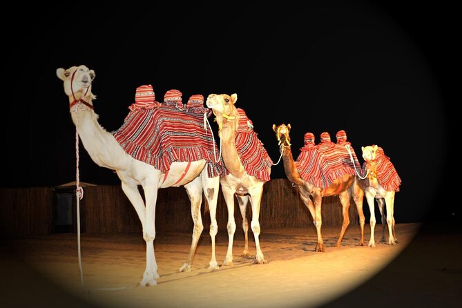 Premium Private Desert Safari with Camel Ride & Live BBQ Dinner - Pickup, Timing, and How the 6 to 7 Hours Usually Flows