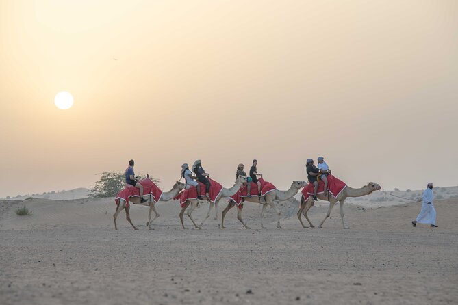 Premium Red Dunes Bashing with Quad Bike, Camel, Falcon &VIP Camp - Entering the Lehbab Red Dunes, where the day actually starts