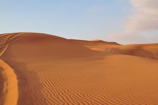 Premium Red Dunes Safari and Camel Safari with BBQ Dinner - Entering the Red Desert: 4x4 dune bashing in about 45 minutes