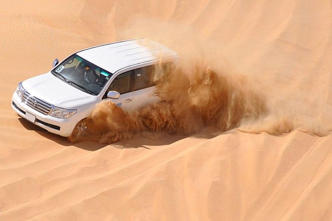 Premium Red Dunes Safari and Camel Safari with BBQ Dinner - Camel ride time: a classic mode of transport, but not a private moment