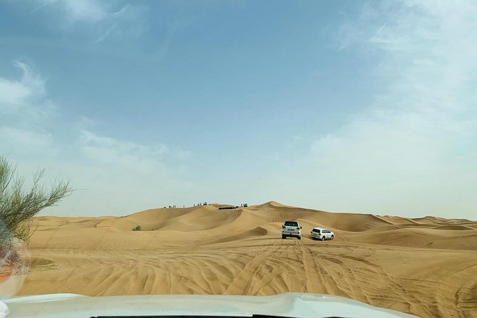 Premium Red Dunes Safari and Camel Safari with BBQ Dinner - Live shows in the desert: fire and dance as the final chapter
