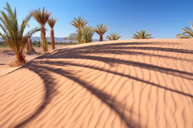 Premium Red Dunes Safari and Camel Safari with BBQ Dinner - Sunset timing, the 3:00 pm start, and how the JBR meeting point shapes your day