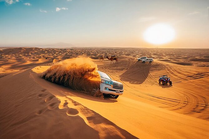 Private 4Hours Red Dunes Safari Camel Ride ,Falcon & Dune Thrills - 40 Minutes of Dune Bashing in a 4x4