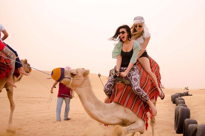 Private 4Hours Red Dunes Safari Camel Ride ,Falcon & Dune Thrills - Who This Is Best For in Dubai